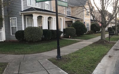 Photo of David L.'s yard after getting landscaping in Faith, NC
