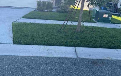 Photo of Aaron B.'s yard after getting landscaping in Riverview, FL