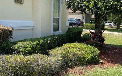 Photo of James L.'s yard after getting tree care in Atlantic Beach, FL