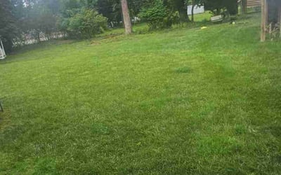 Photo of Michael P.'s yard after getting landscaping in Baltimore, MD