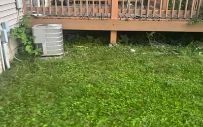 Photo of Joy M.'s yard after getting tree care in Pierz, MN