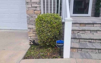 Photo of Susan G.'s yard after getting landscaping in Mathews, VA