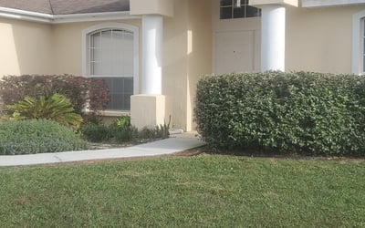 Photo of TIFFANY M.'s yard after getting landscaping in Loughman, FL