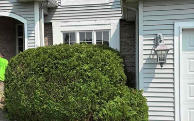 Photo of Mary R.'s yard after getting landscaping in Battle Creek, MI
