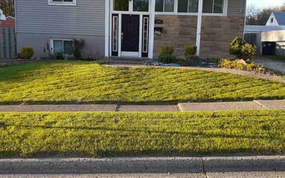 Photo of James C.'s yard after getting landscaping in Ravenna, OH