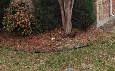 Photo of Stewart S.'s yard after getting landscaping in Decatur, TX