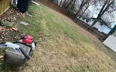 Photo of Fernando T.'s yard after getting landscaping in Mc Lean, VA