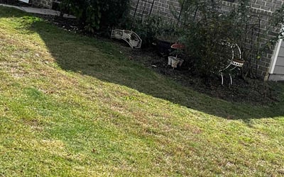 Photo of Glenn S.'s yard after getting landscaping in Shady Dale, GA