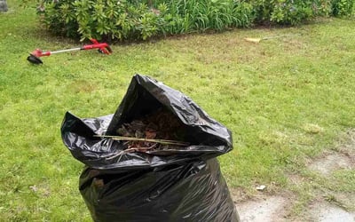 Photo of Hannah Q.'s yard after getting lawn care in Kennebunk, ME
