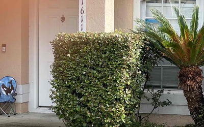 Photo of Dan W.'s yard after getting landscaping in Pierson, FL