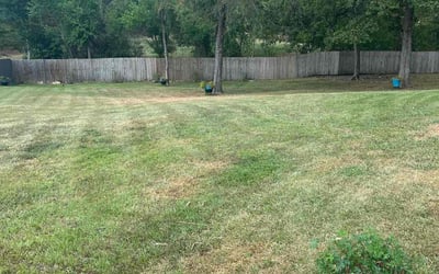 Photo of Alexis K.'s yard after getting landscaping in Florence, MS