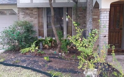 Photo of Jesse V.'s yard after getting landscaping in Geronimo, TX