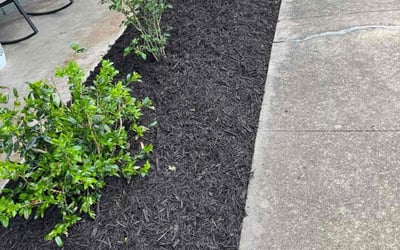 Photo of Jonas W.'s yard after getting landscaping in Austin, TX