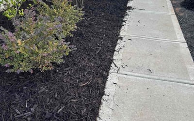 Photo of Frank B.'s yard after getting tree care in Kannapolis, NC