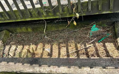 Photo of Brandon B.'s yard after getting tree care in Dayton, OH