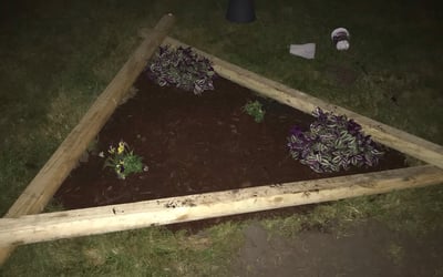 Photo of Harry M.'s yard after getting tree care in Newport News, VA