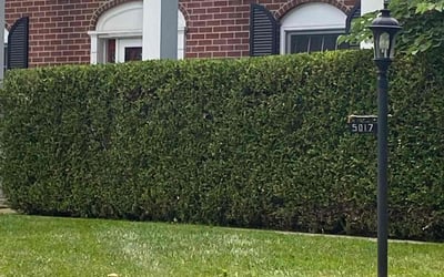 Photo of Tony S.'s yard after getting landscaping in Swanton, OH