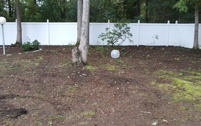 Photo of Lisa T.'s yard after getting landscaping in Riverside, NJ