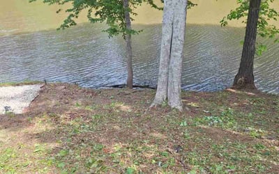 Photo of Jim C.'s yard after getting landscaping in Porterdale, GA