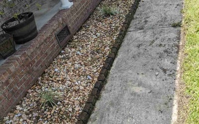 Photo of Vickie O.'s yard after getting tree care in Charleston, SC