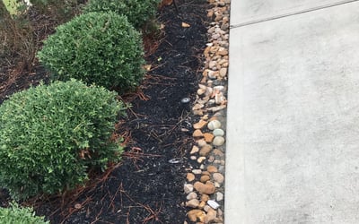 Photo of Andrew P.'s yard after getting landscaping in Sealy, TX