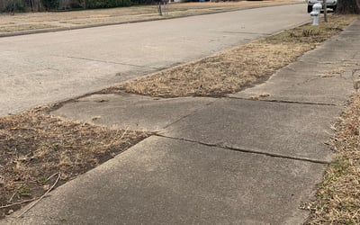 Photo of Barbara R.'s yard after getting landscaping in Nevada, TX