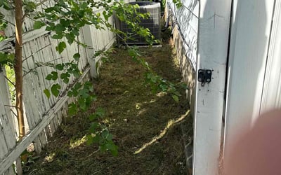 Photo of Karen S.'s yard after getting landscaping in Hightstown, NJ