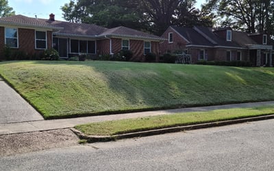 Photo of Becky B.'s yard after getting landscaping in Senatobia, MS