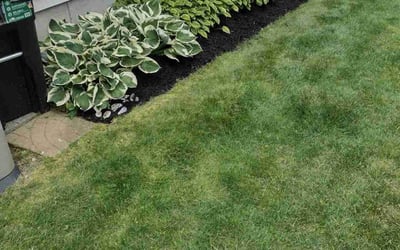Photo of Maria G.'s yard after getting landscaping in Stratford, CT