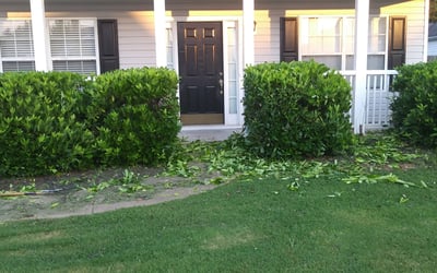 Photo of Derrick C.'s yard after getting landscaping in Meansville, GA