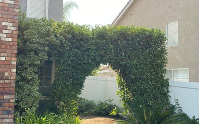 Photo of Matt S.'s yard after getting landscaping in Cathedral City, CA