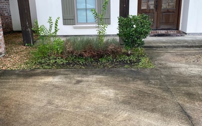 Photo of Chris P.'s yard after getting landscaping in Springfield, LA