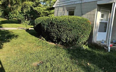 Photo of Thomas B.'s yard after getting landscaping in Ashley, OH