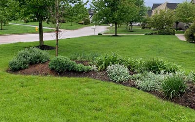 Photo of David G.'s yard after getting landscaping in Lewis Center, OH