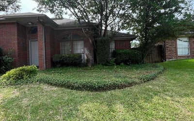 Photo of Steve M.'s yard after getting landscaping in Cedar Hill, TX