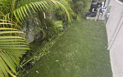 Photo of Sara M.'s yard after getting landscaping in Naples, FL