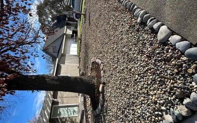 Photo of Andrew S.'s yard after getting landscaping in Placerville, CA