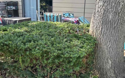 Photo of Jessica w.'s yard after getting landscaping in Lake Orion, MI