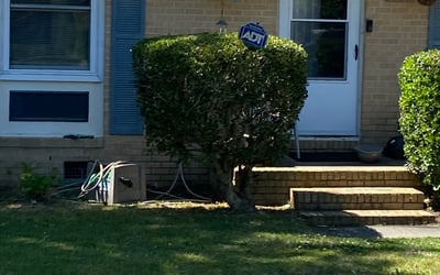 Photo of Sharon H.'s yard after getting tree care in Moncks Corner, SC