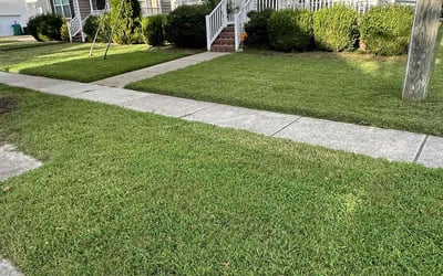 Photo of Trenton H.'s yard after getting lawn care in Ruther Glen, VA