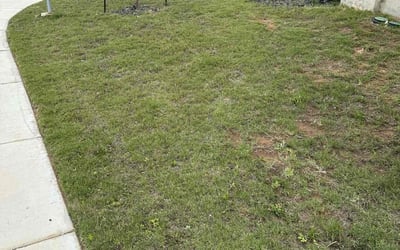 Photo of Michael Q.'s yard after getting landscaping in Bulverde, TX