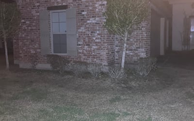 Photo of Chris P.'s yard after getting landscaping in Geismar, LA