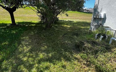 Photo of Keith B.'s yard after getting landscaping in Howey In The Hills, FL