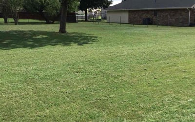Photo of Vicky H.'s yard after getting landscaping in Haslet, TX