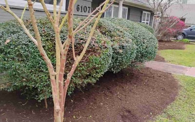 Photo of Tanya C.'s yard after getting landscaping in Hull, TX