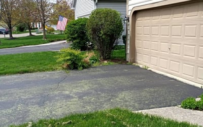 Photo of Lisa K.'s yard after getting landscaping in Williamsport, OH