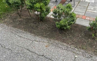 Photo of Ryan G.'s yard after getting landscaping in Chesterville, OH
