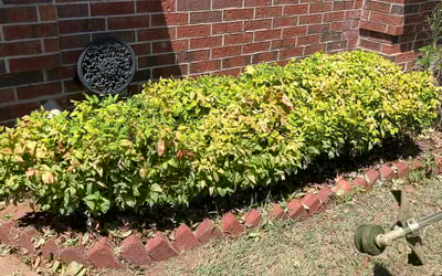 Photo of April M.'s yard after getting landscaping in Chandler, OK