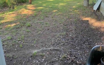 Photo of Terrie W.'s yard after getting landscaping in Liberty, SC