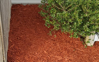 Photo of Jacob S.'s yard after getting landscaping in Corolla, NC